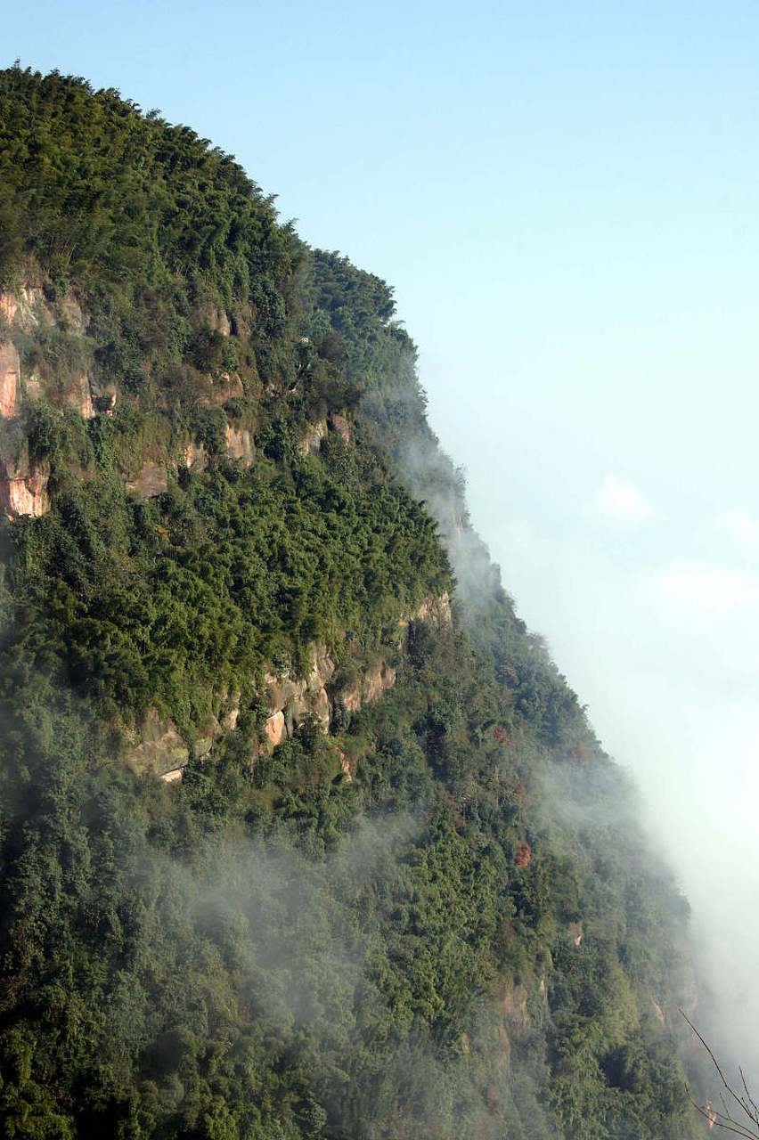 手机版盆地种子怎么获得利润很吓人的10个冷门种植-第2张图片-太平洋在线下载