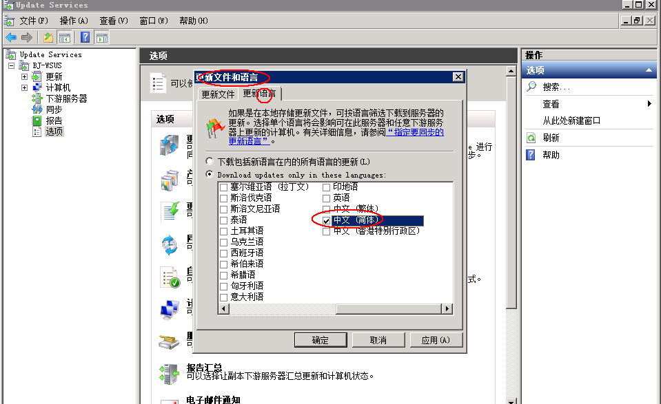 wsus2008客户端设置windows2008serverr2下载-第2张图片-太平洋在线下载