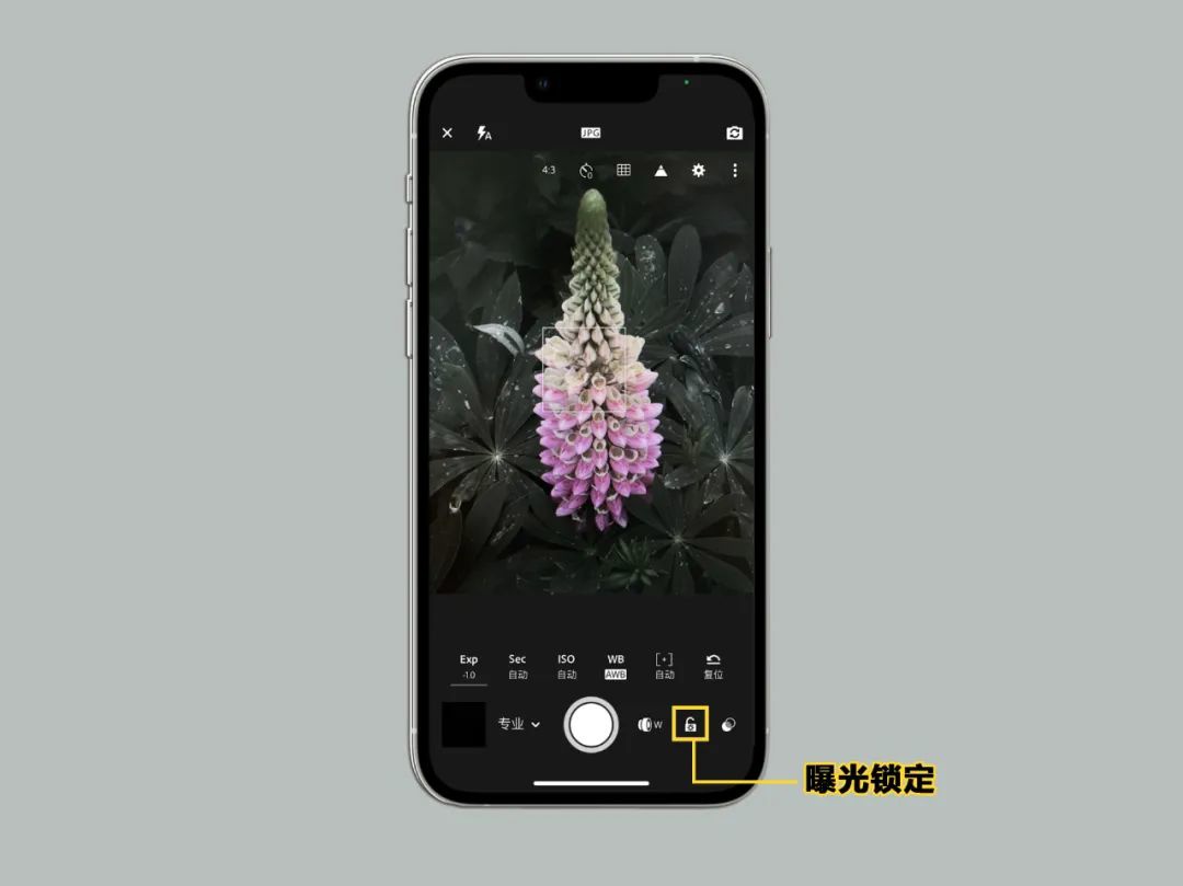 lightroom苹果版无法登录lightroom2024下载中文版免费破解版