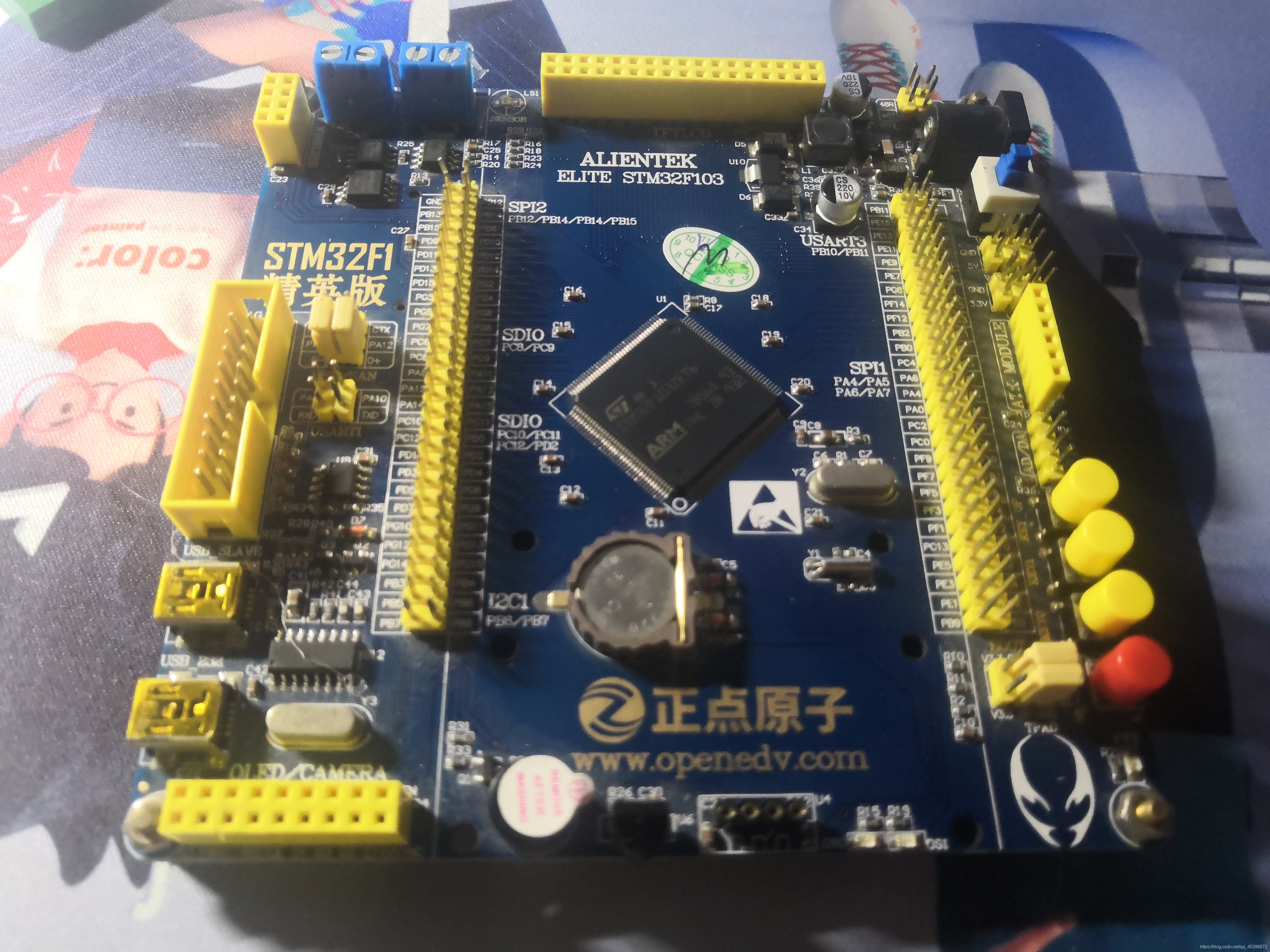 zet客户端zeta血清官网