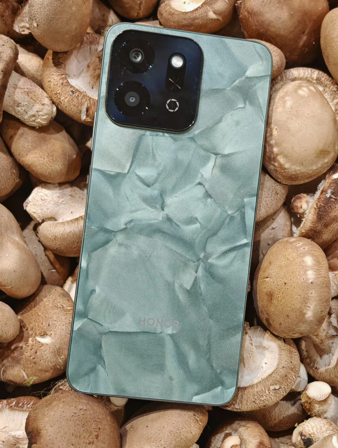 t版手机是什么1个t的手机有哪些