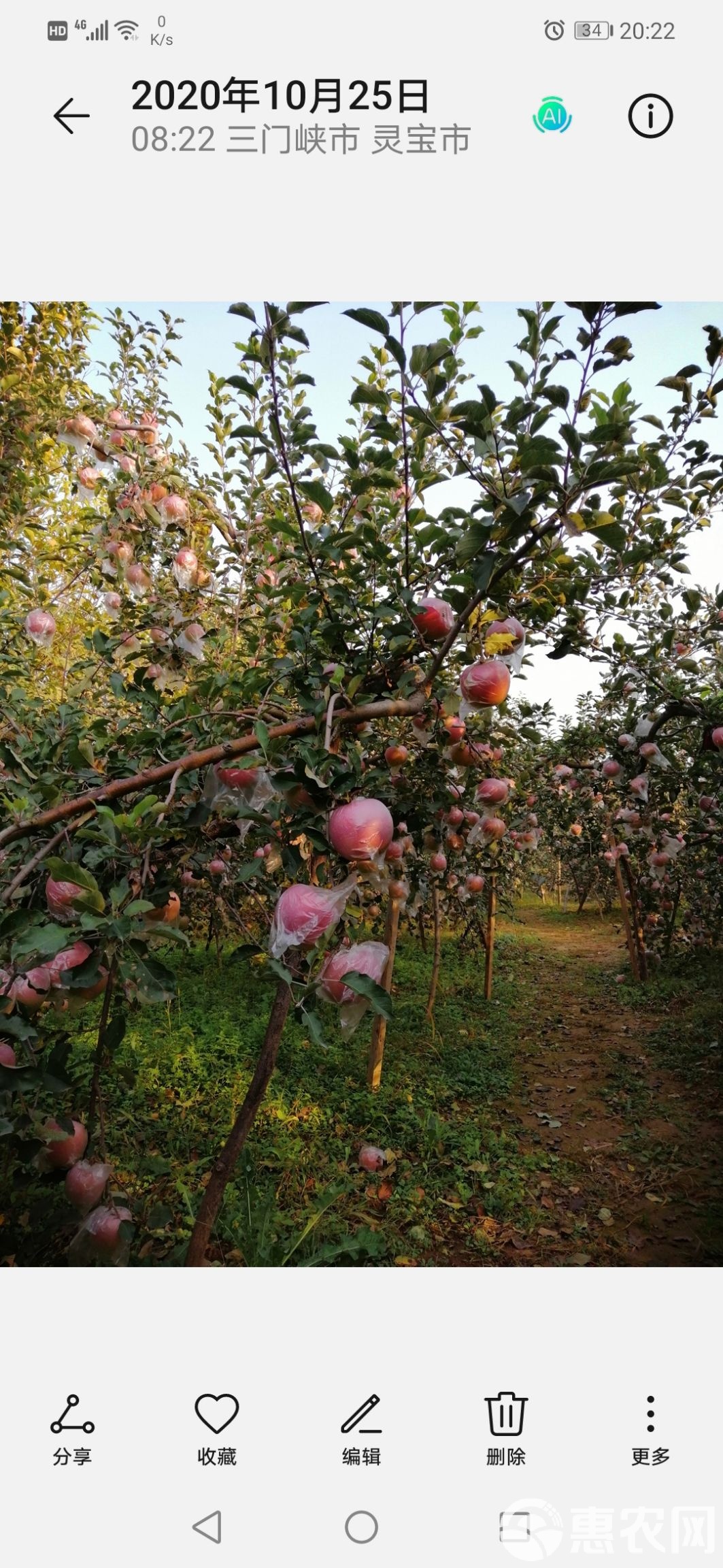 灵宝苹果手机版灵宝苹果手机授权店