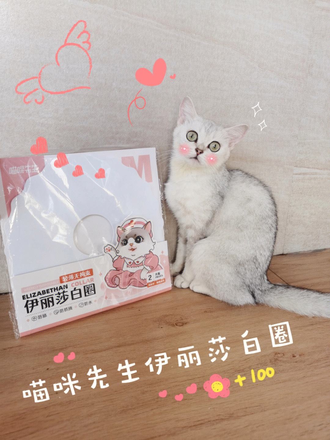 圈小猫安卓版小猫视频直播app海外版